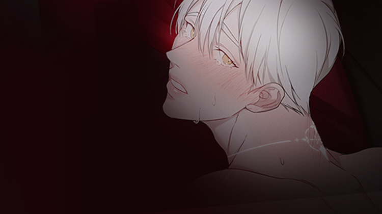 忏悔之夜