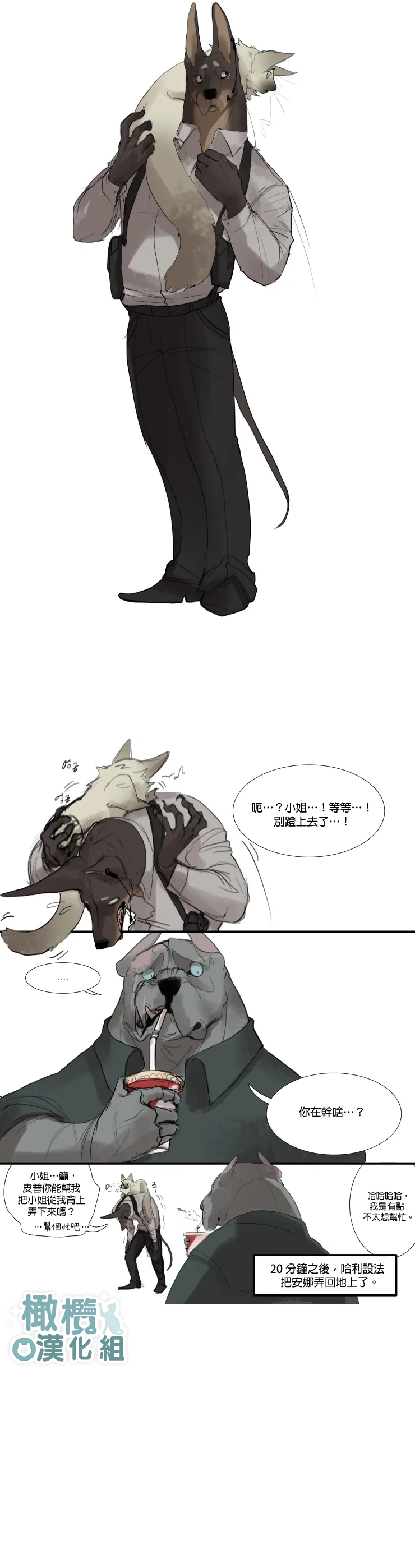 第3页