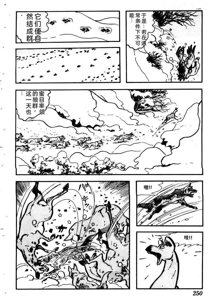 第253页