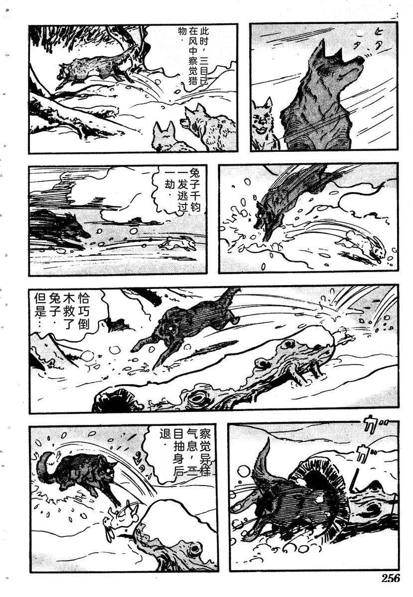 第259页