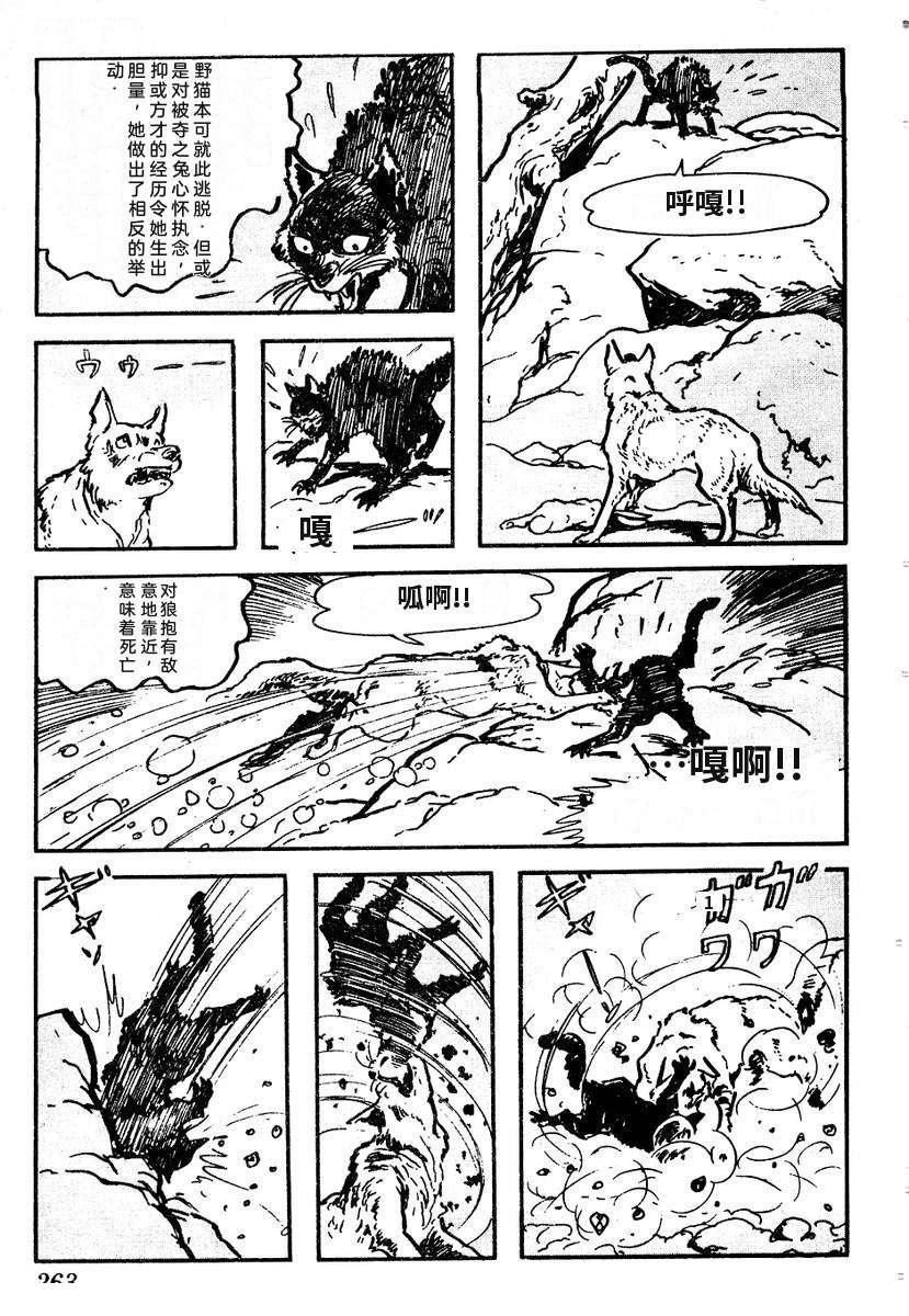第266页