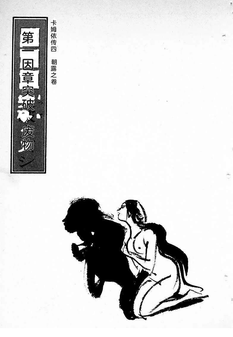 第256页