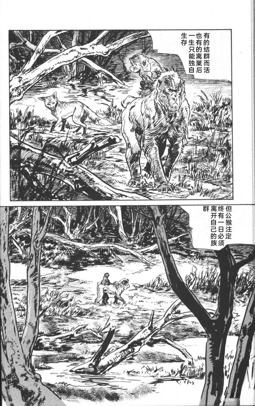 第136页