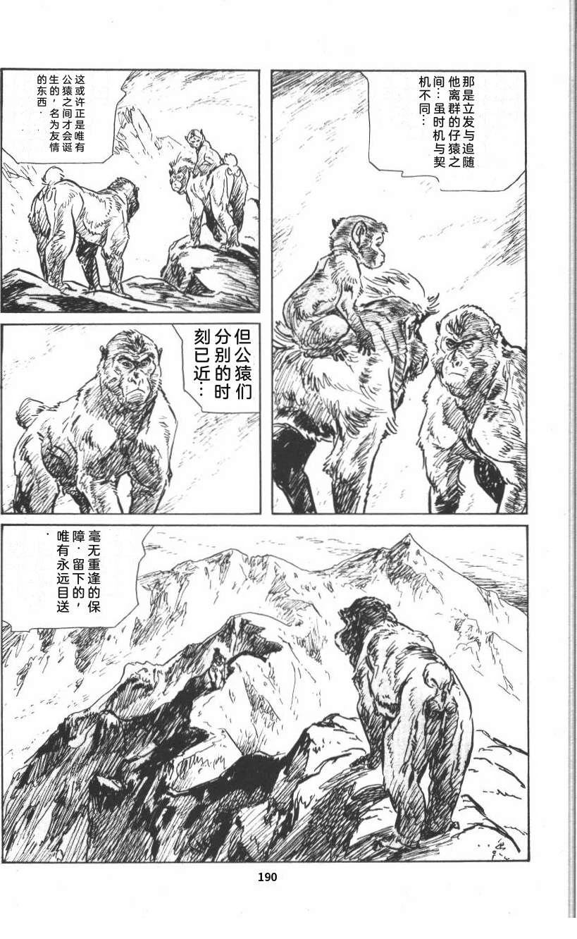 第196页