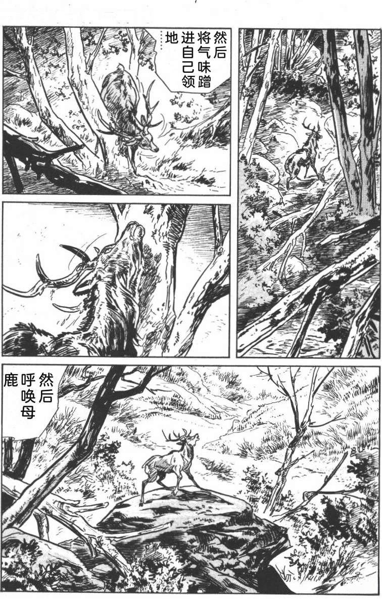 第199页