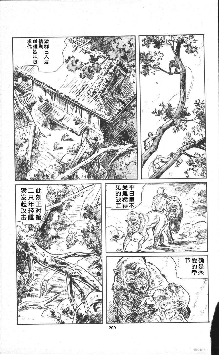 第215页