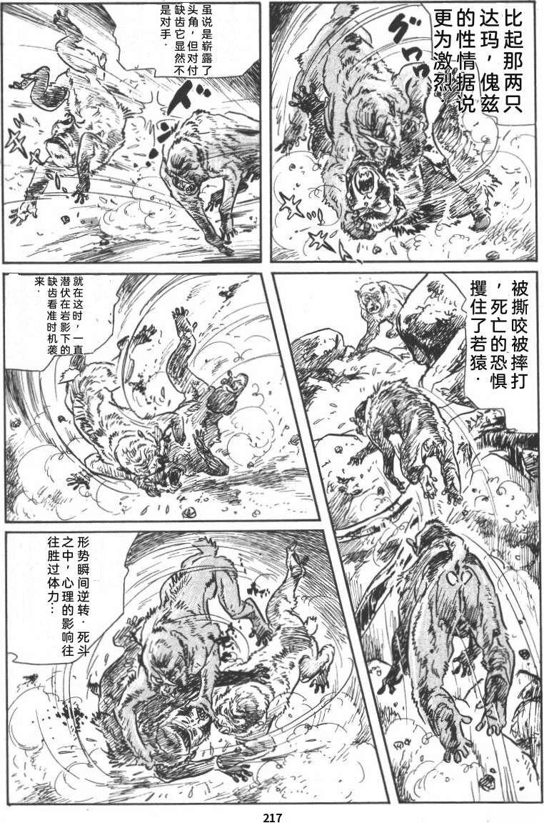 第223页
