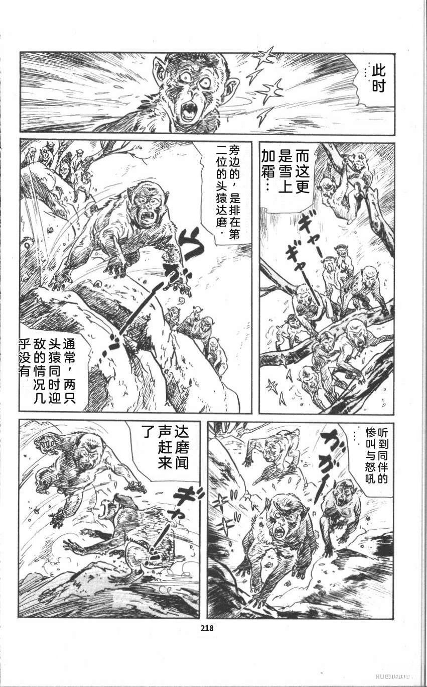 第224页