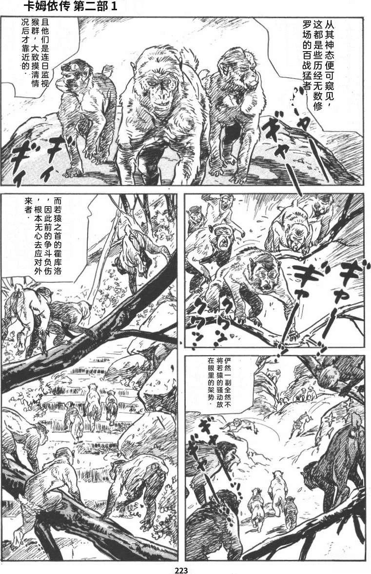 第229页