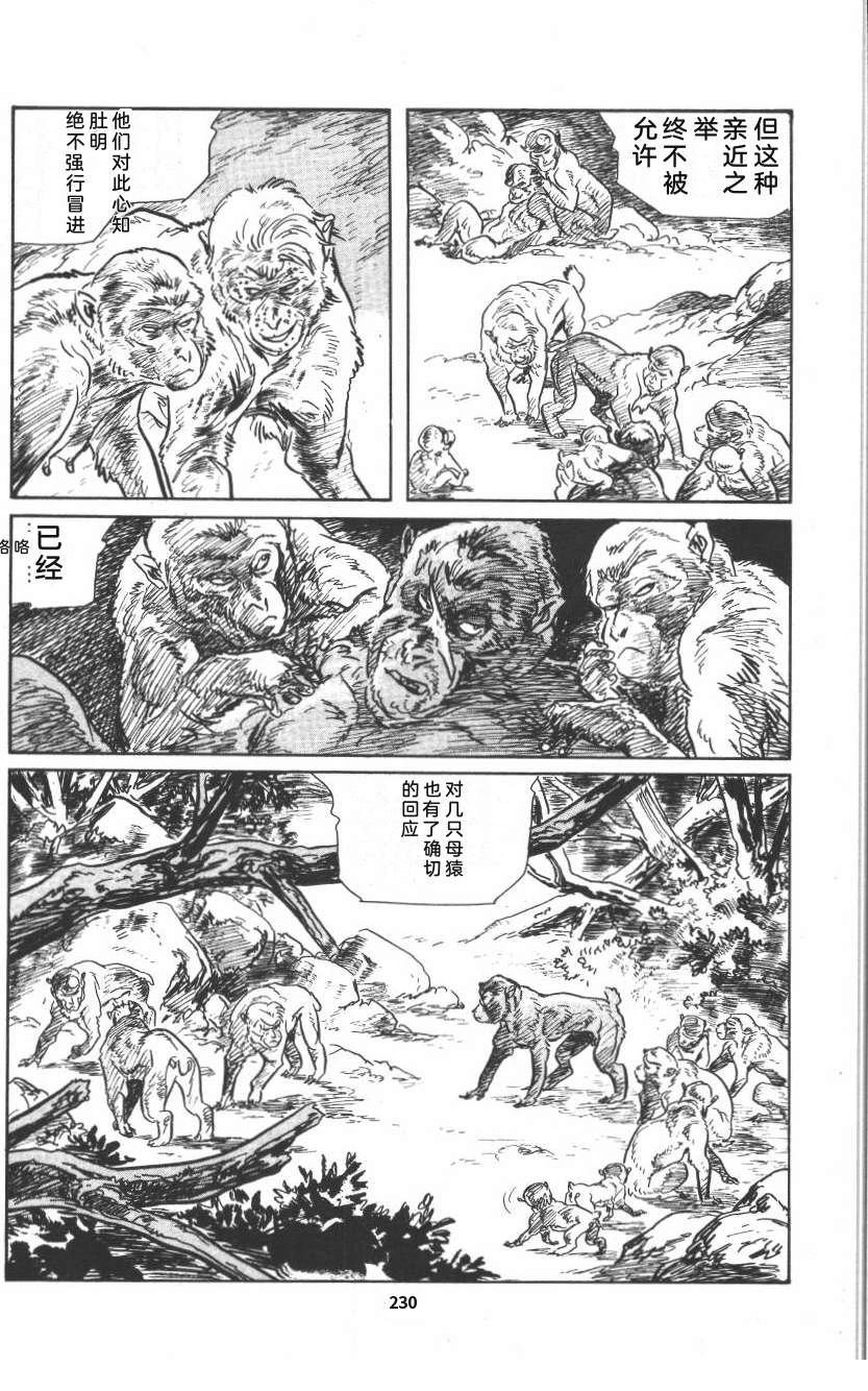 第236页