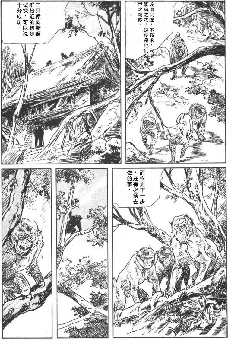 第237页