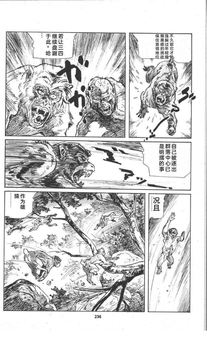 第242页
