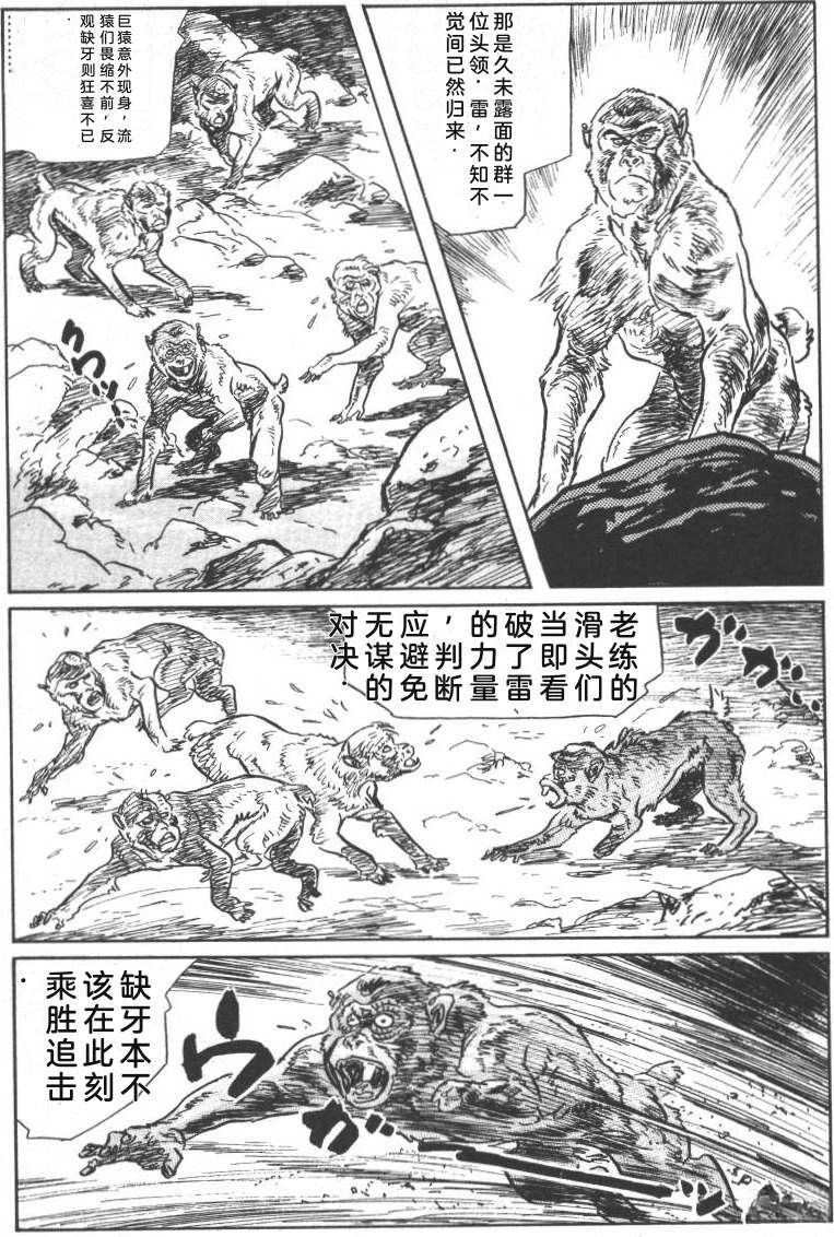 第247页