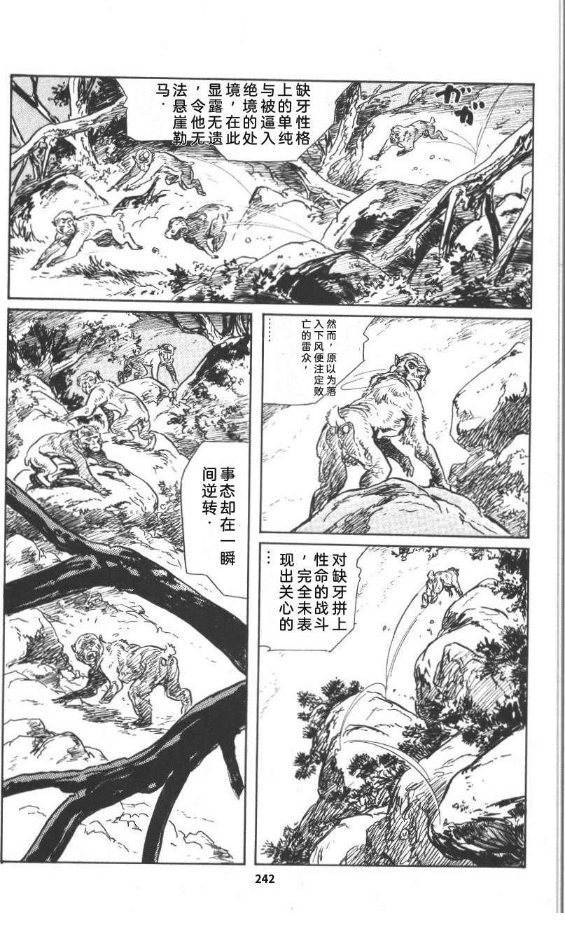 第248页