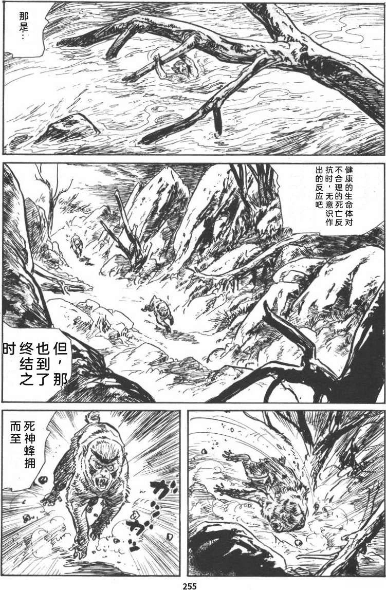 第261页