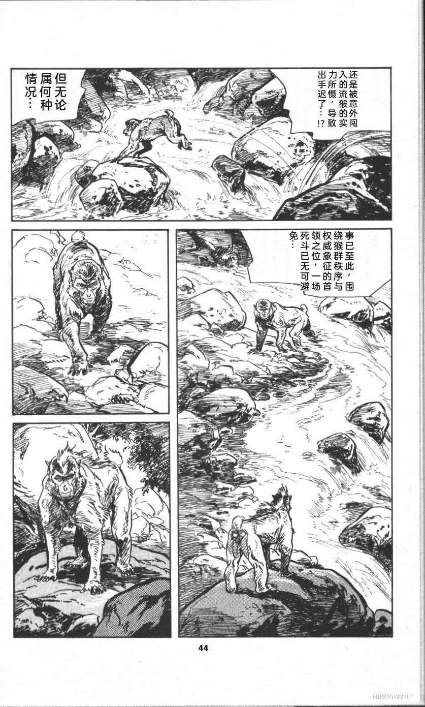 第50页