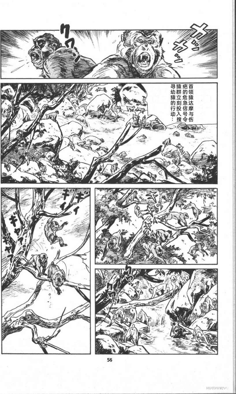 第62页