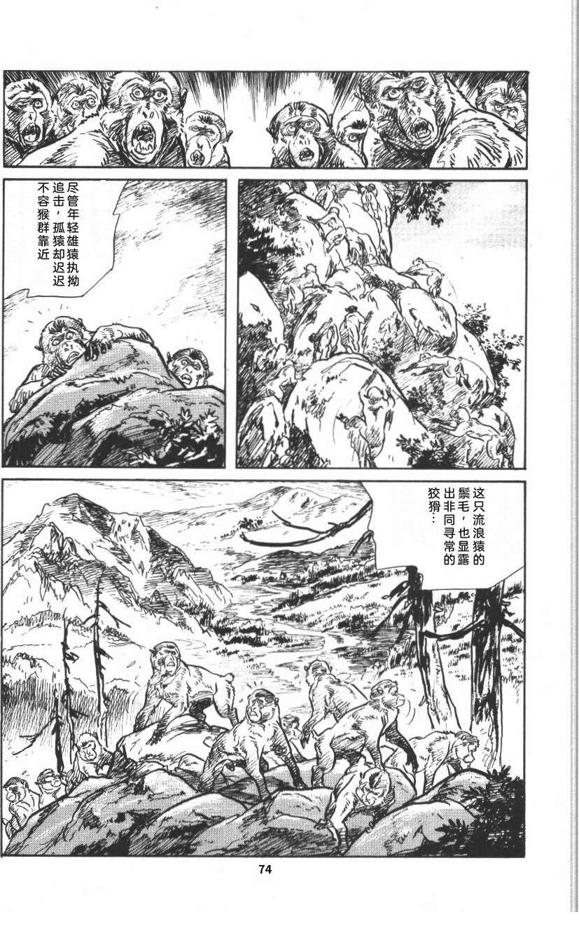 第80页