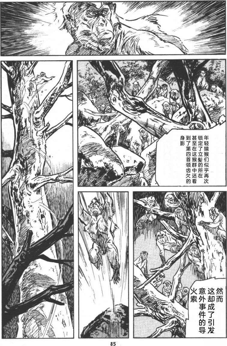 第91页
