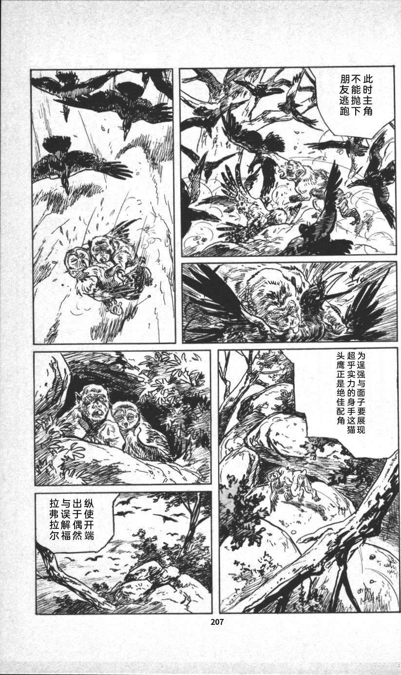 第213页