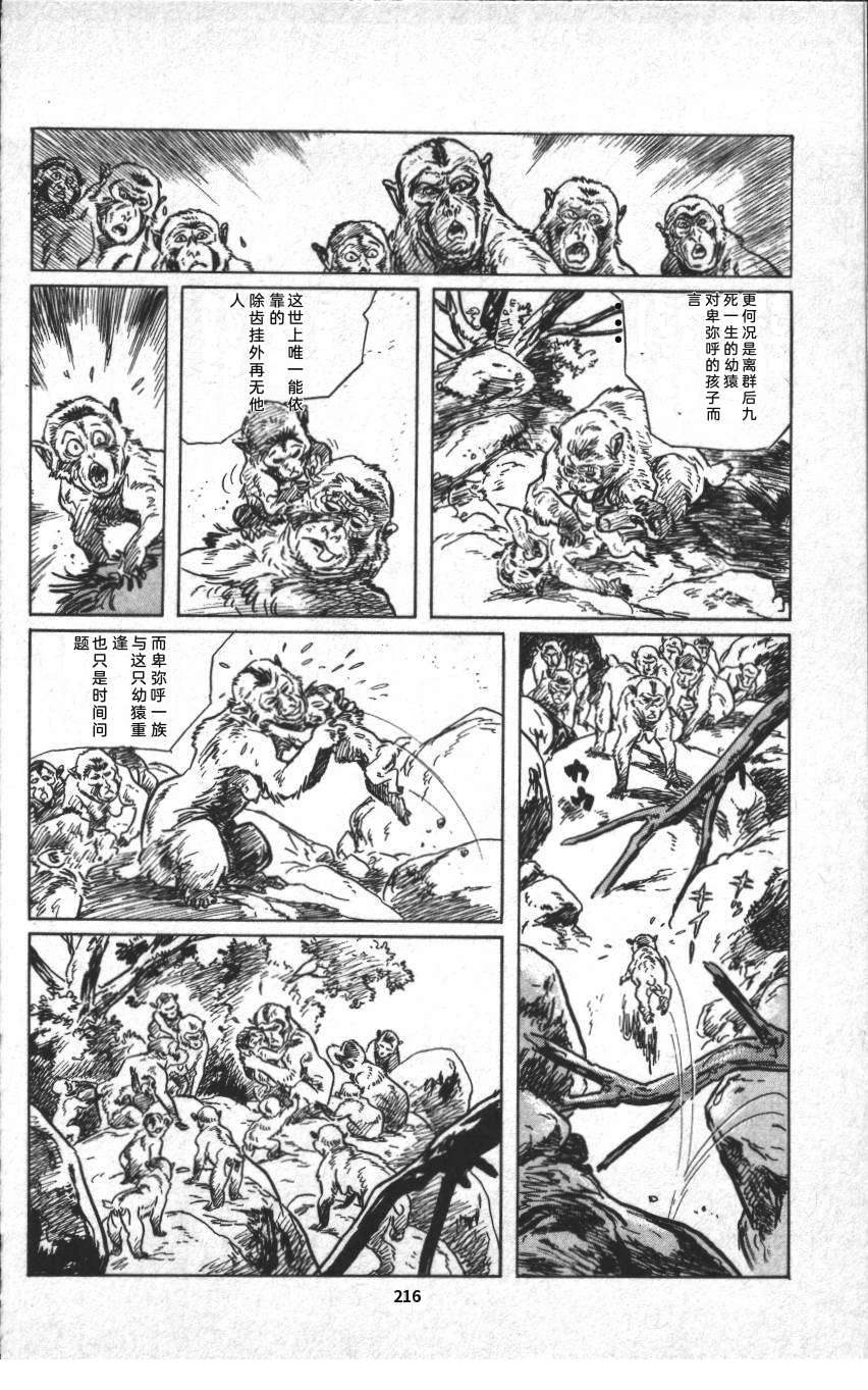 第222页