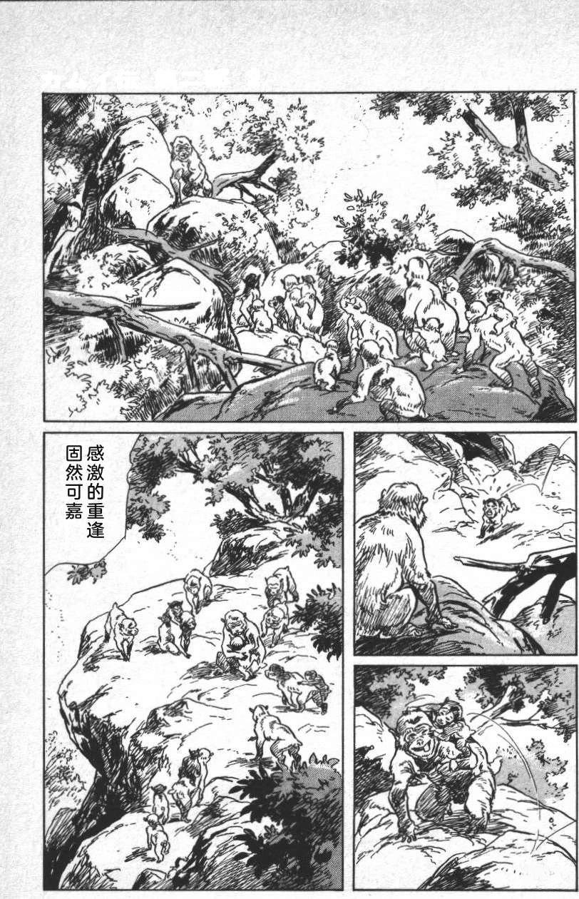 第223页