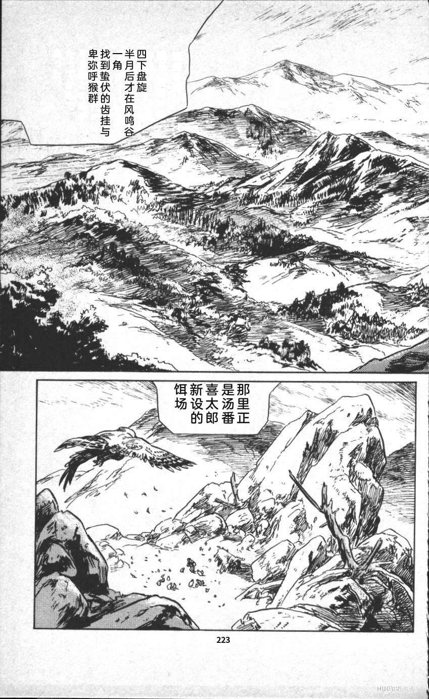 第229页