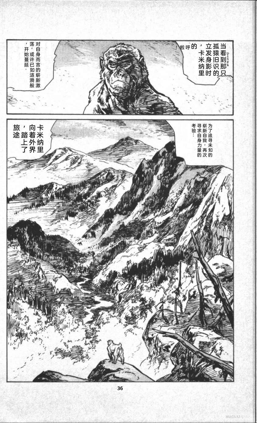 第42页