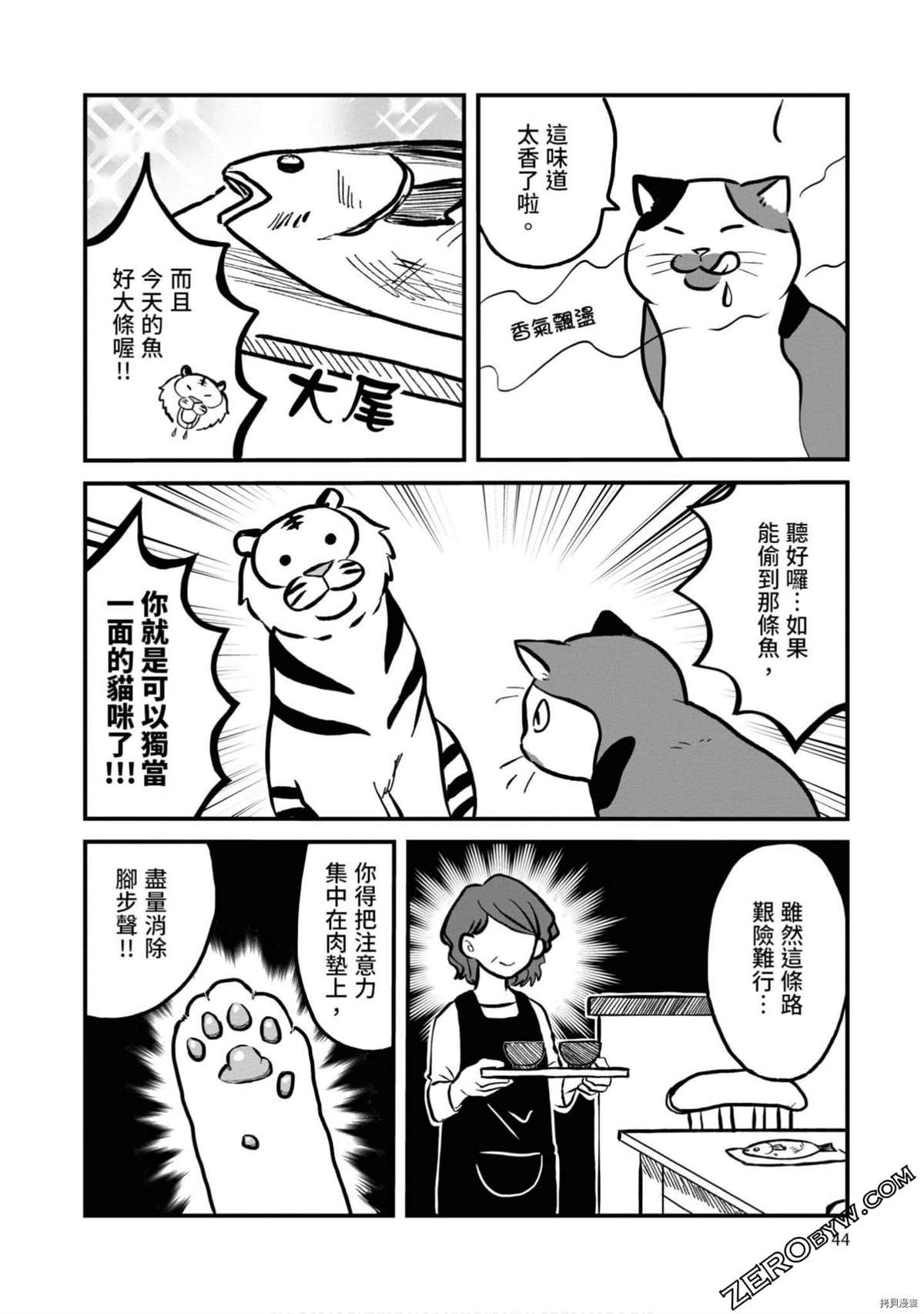 第43页