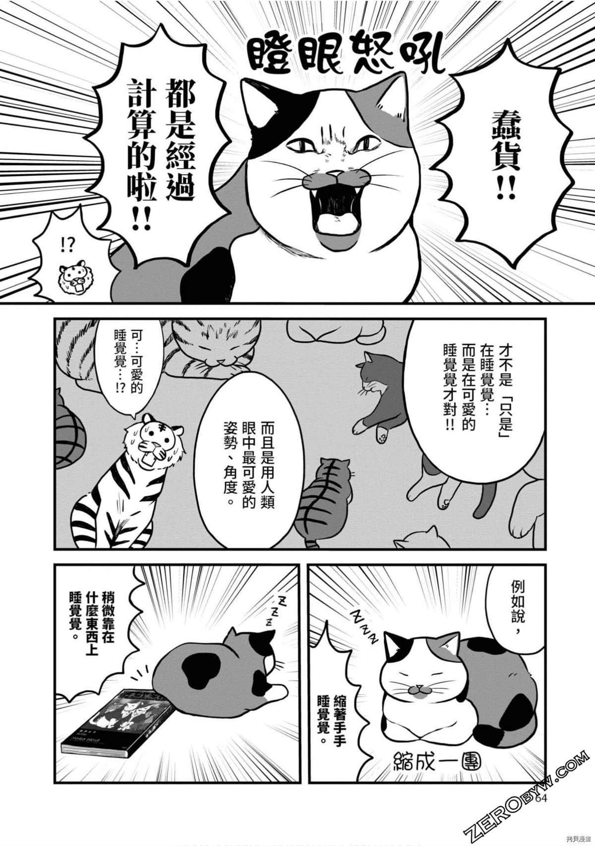 第63页