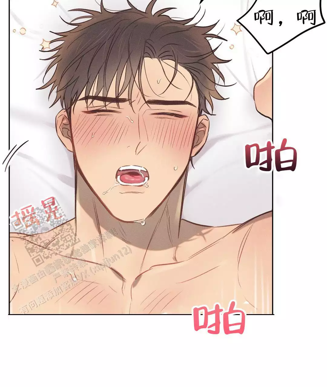 第43页